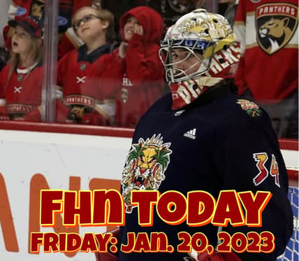 Florida panthers