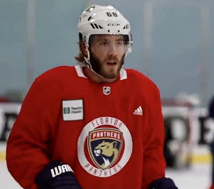 Mike Hoffman St Louis