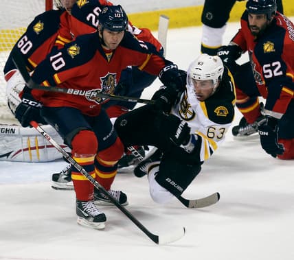 Florida panthers