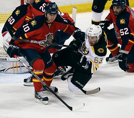 Florida panthers