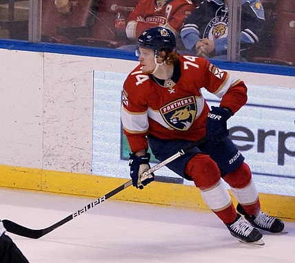 Florida owen tippett panthers