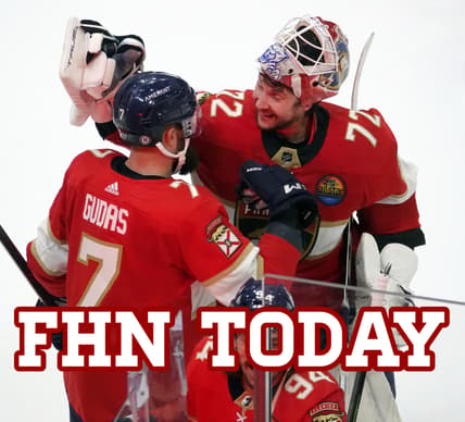 Florida panthers
