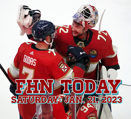 Florida panthers