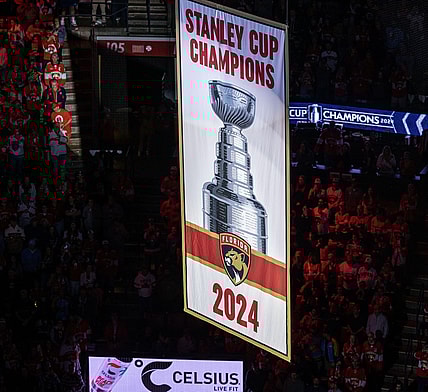 Panthers cup banner