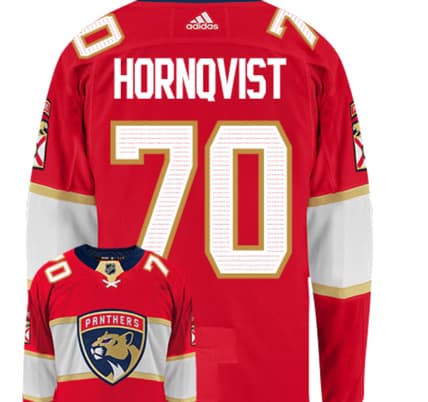Florida panthers numbers