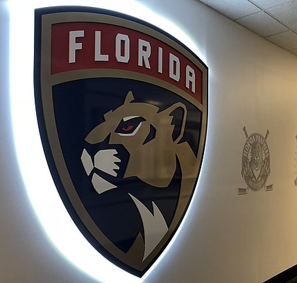 Detroit Panthers Wings Florida