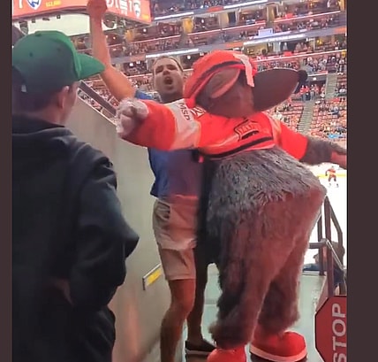 Florida panthers mascot