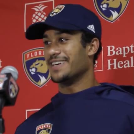 Florida panthers