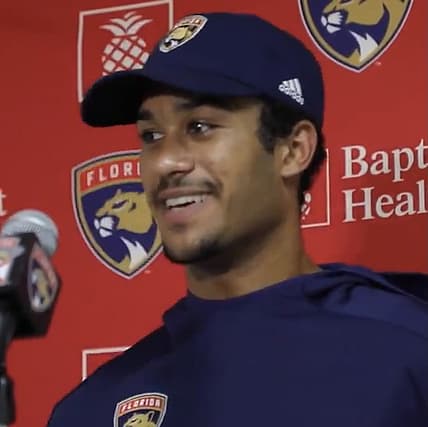 Florida panthers
