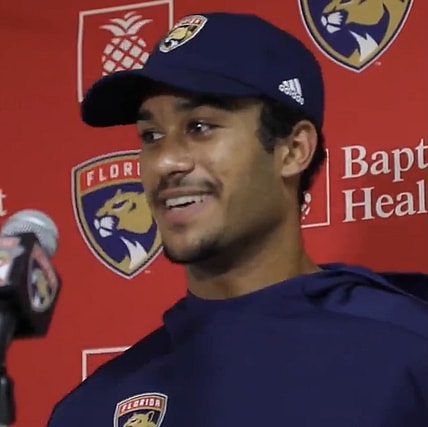 Florida panthers