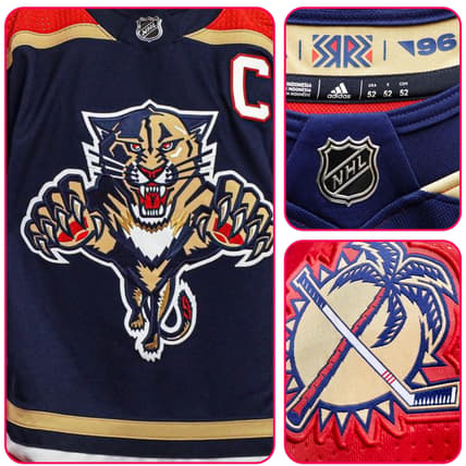 Reverse Retro Panthers Lightning