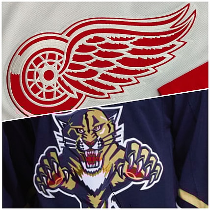 Wings Panthers Detroit Florida