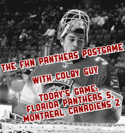 Florida panthers