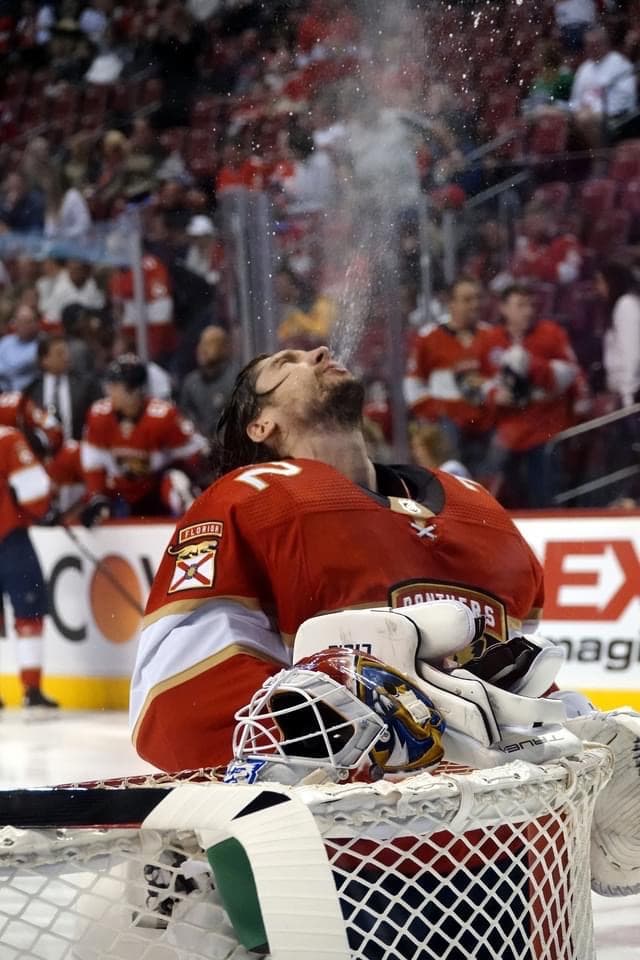 Sergei bobrovsky