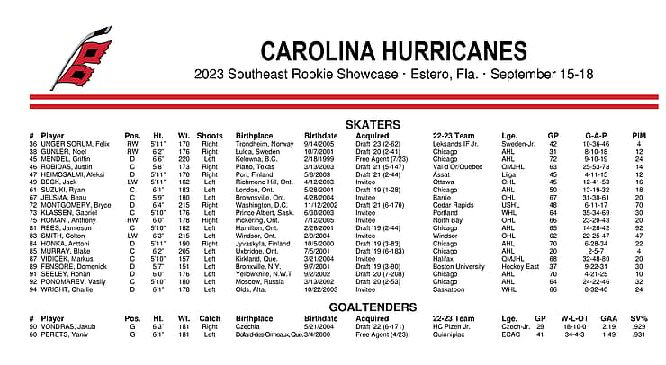 Florida panthers