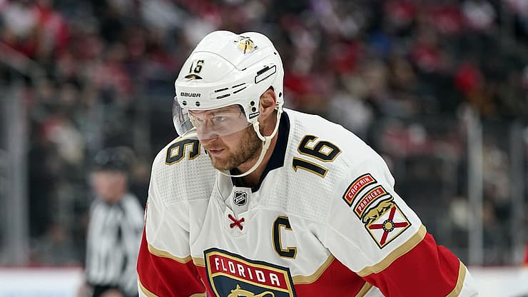 Florida panthers