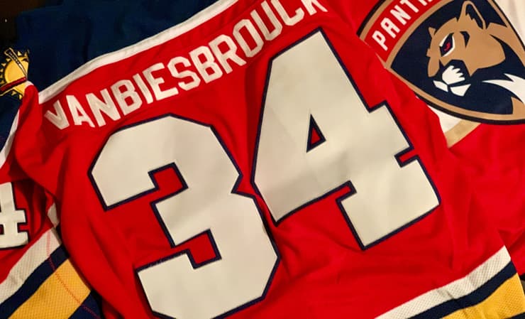 Florida panthers