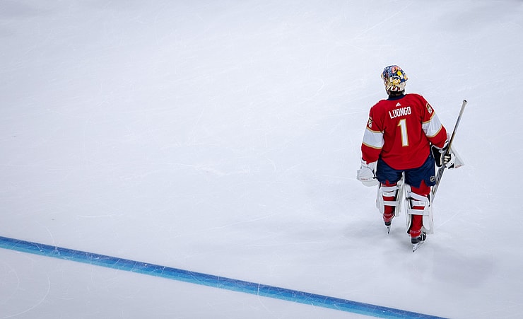 Nhl all-star