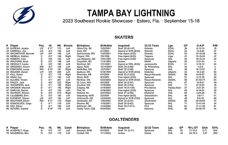 Florida panthers