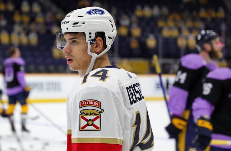 Panthers at Nashville
