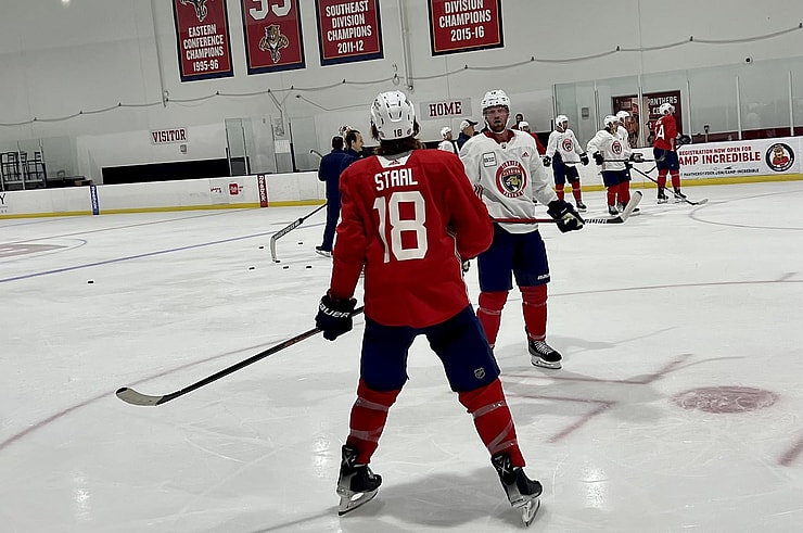 Florida panthers