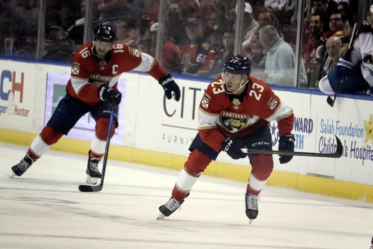Florida panthers