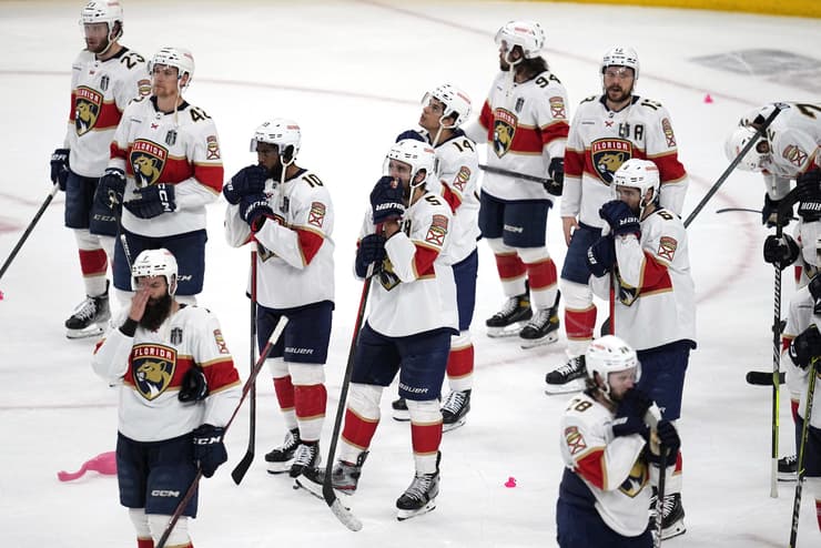 Florida panthers