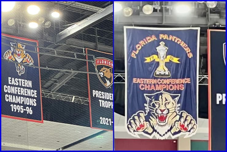 Florida panthers