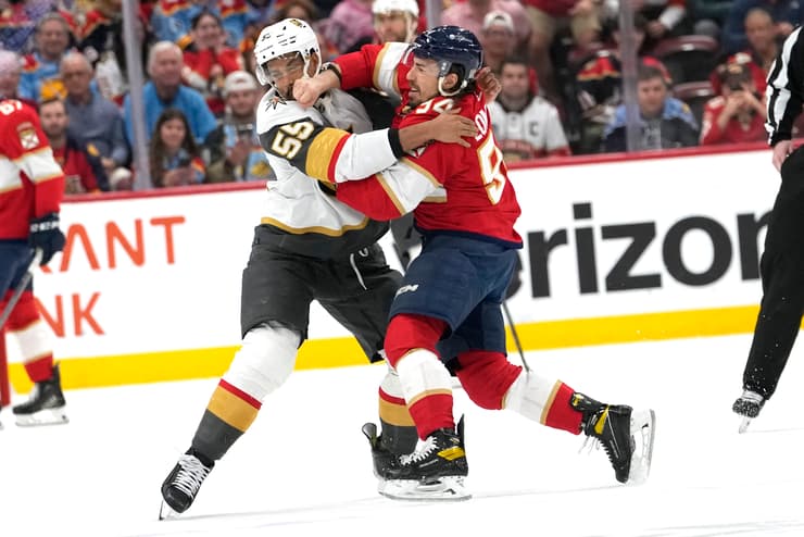 Florida panthers