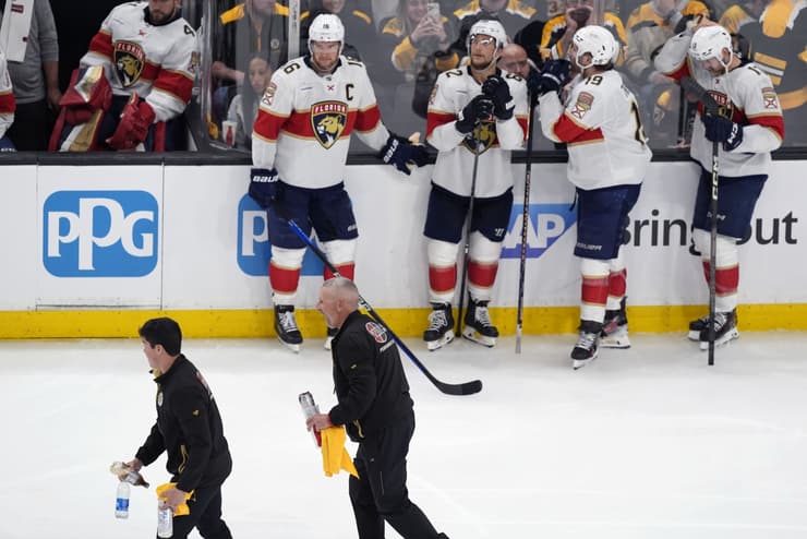 Panthers bruins
