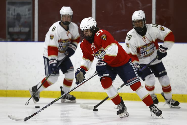 Florida panthers