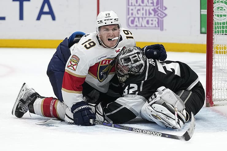 Florida panthers