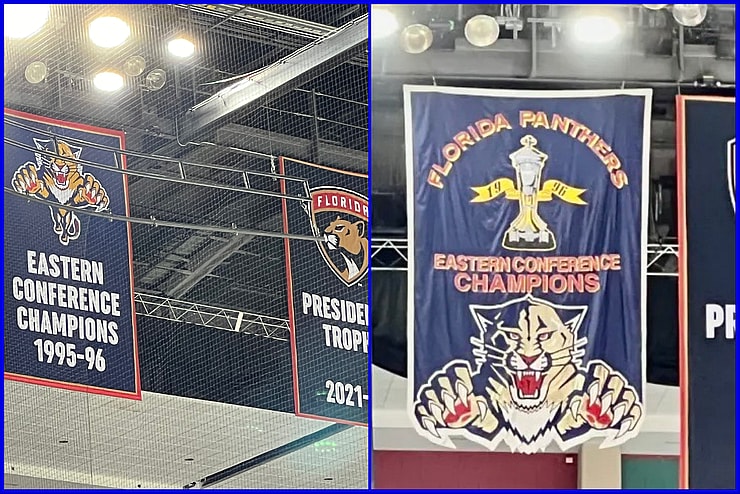 Florida panthers
