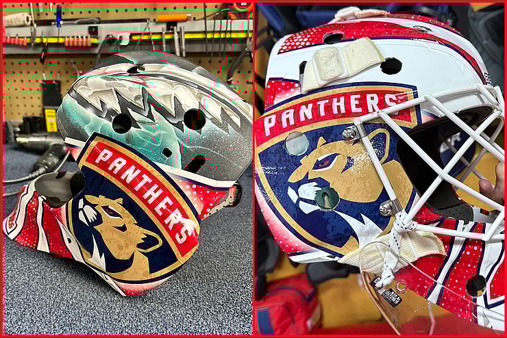 Florida panthers