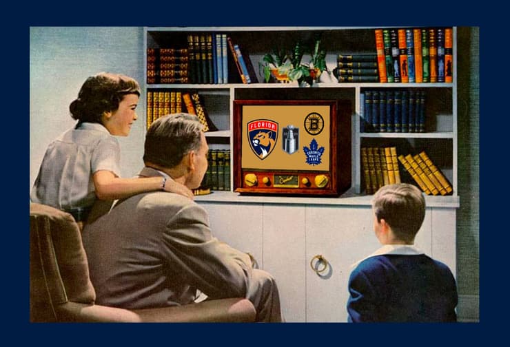 Florida panthers
