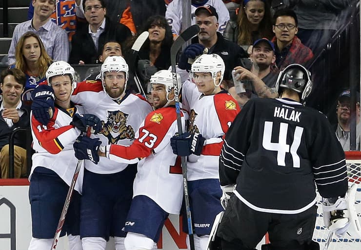Florida panthers