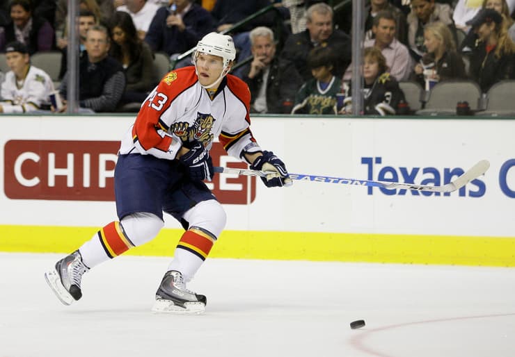 Kulikov panthers