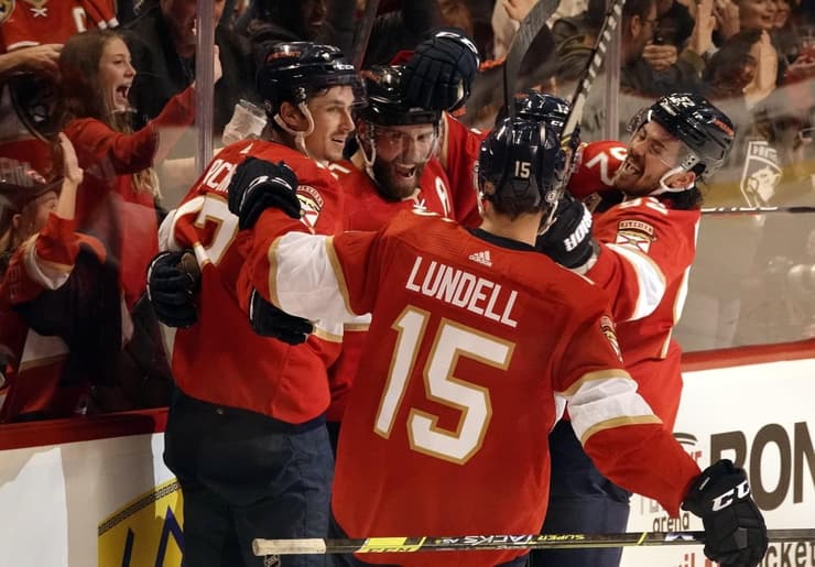 Florida panthers