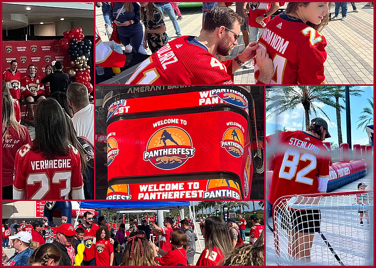 Florida panthers