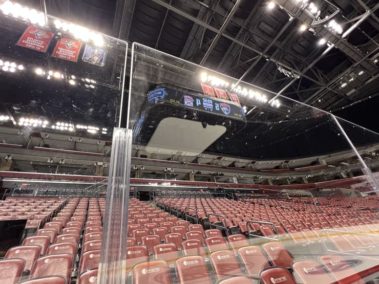 Florida panthers