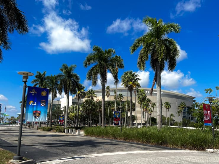 Florida panthers