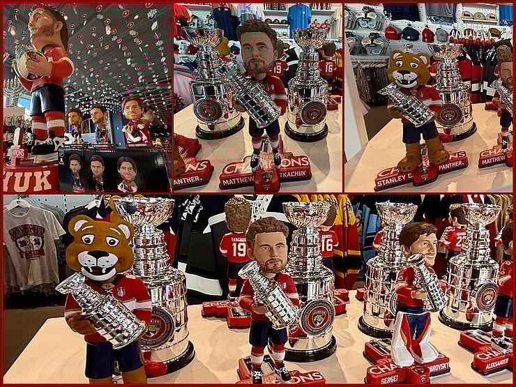 Florida panthers gift