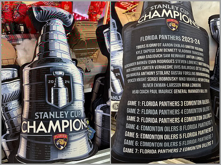 Florida panthers gift