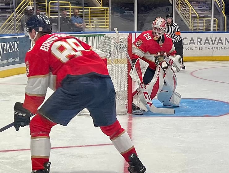Florida panthers
