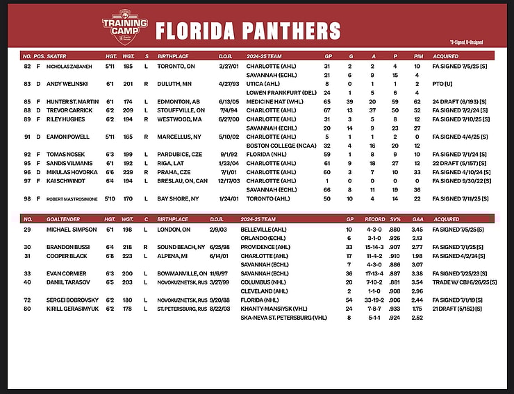 Florida panthers