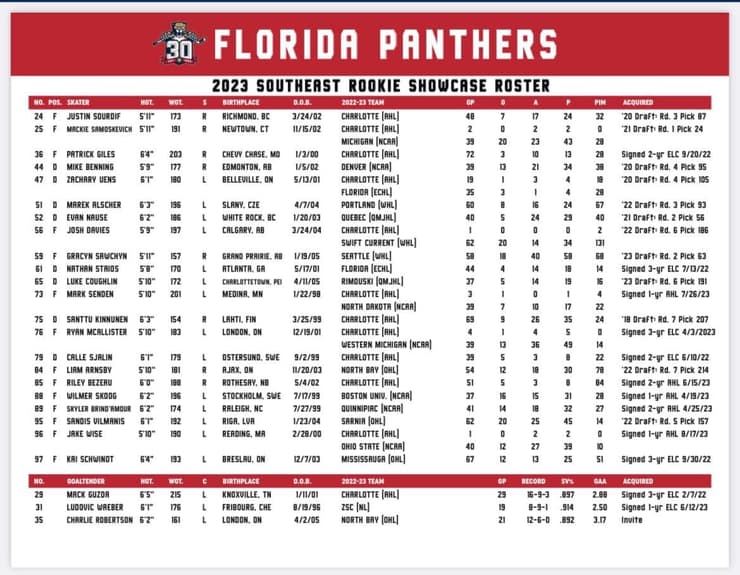 Florida panthers