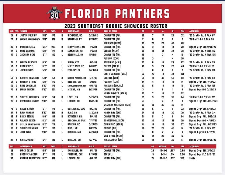 Florida panthers