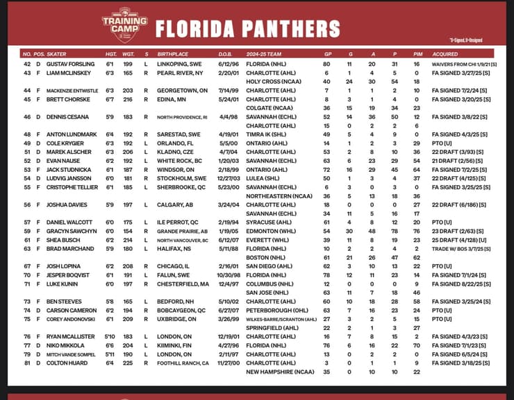 Florida panthers