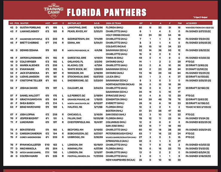 Florida panthers