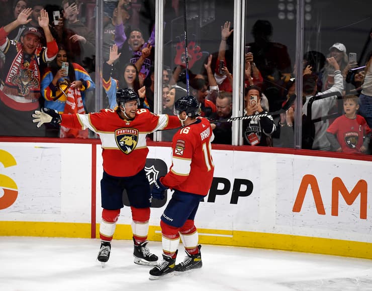 Florida panthers